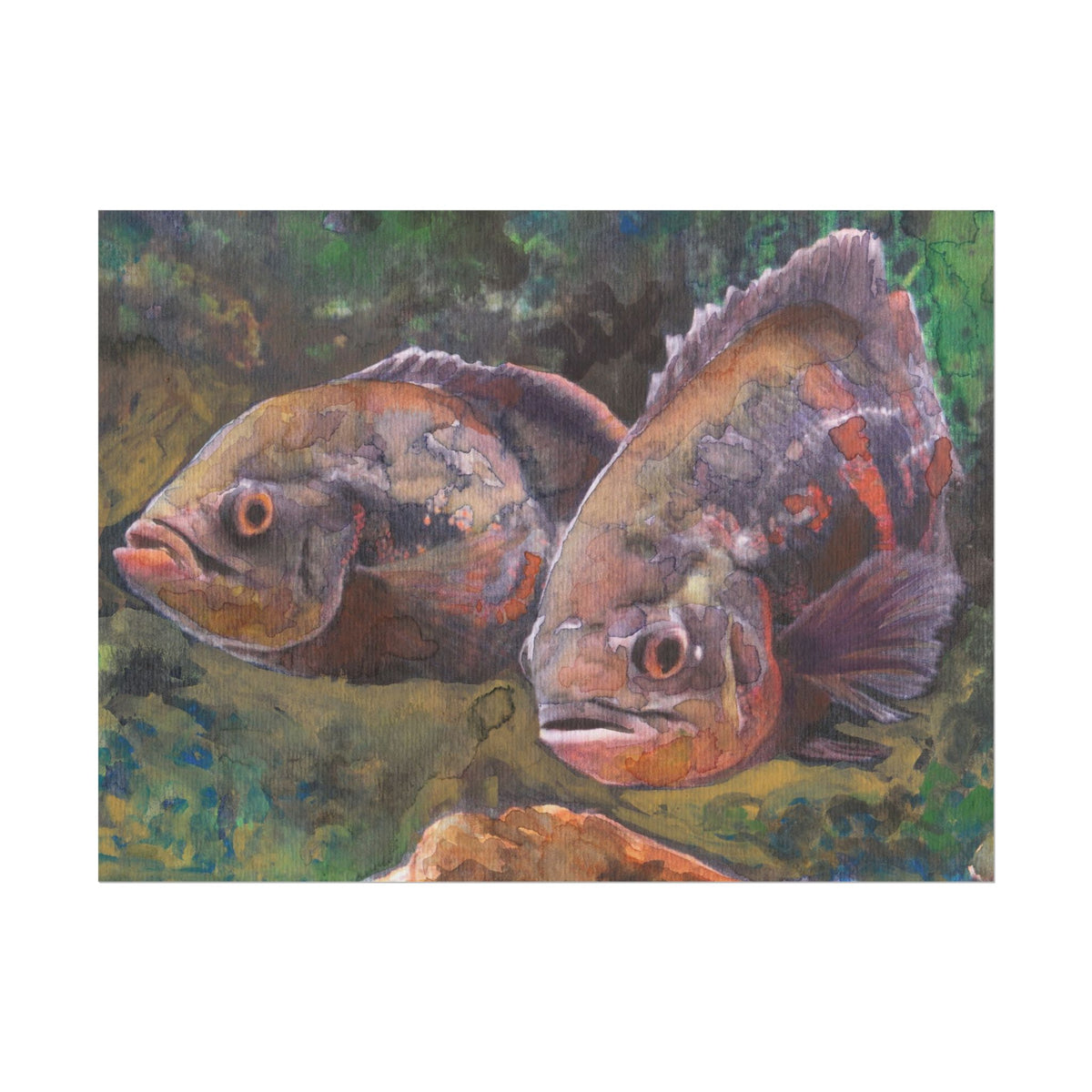 Oscar Fish Wall Art, Purple Oscar Fish Watercolor Poster, Two Fish Art Print, Aquarium Wall Decor, Tropical Fish Artwork