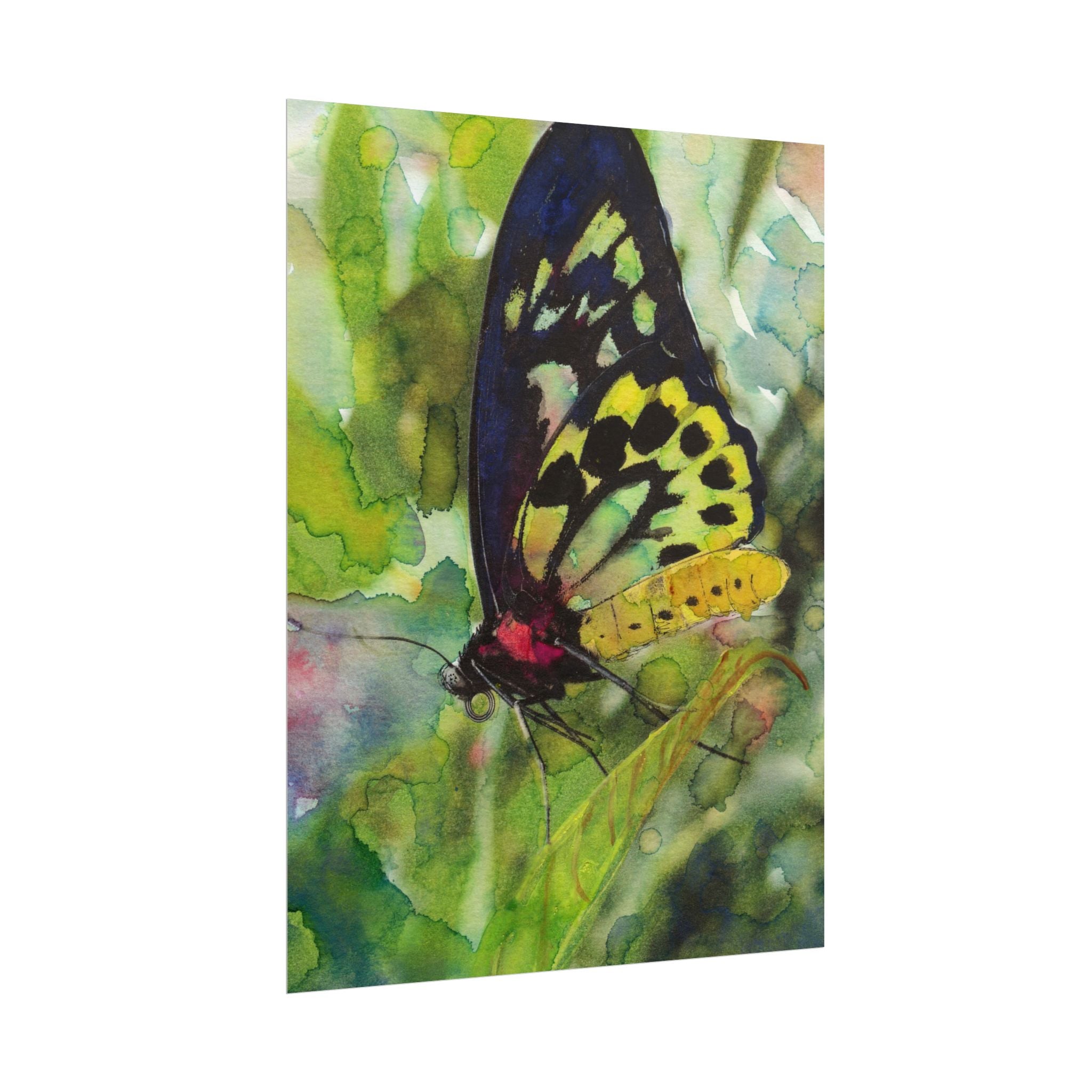 Butterfly Watercolor Wall Art, Colorful Butterfly Poster, Botanical Nature Art Print, Green Garden Wall Decor, Cottagecore Artwork