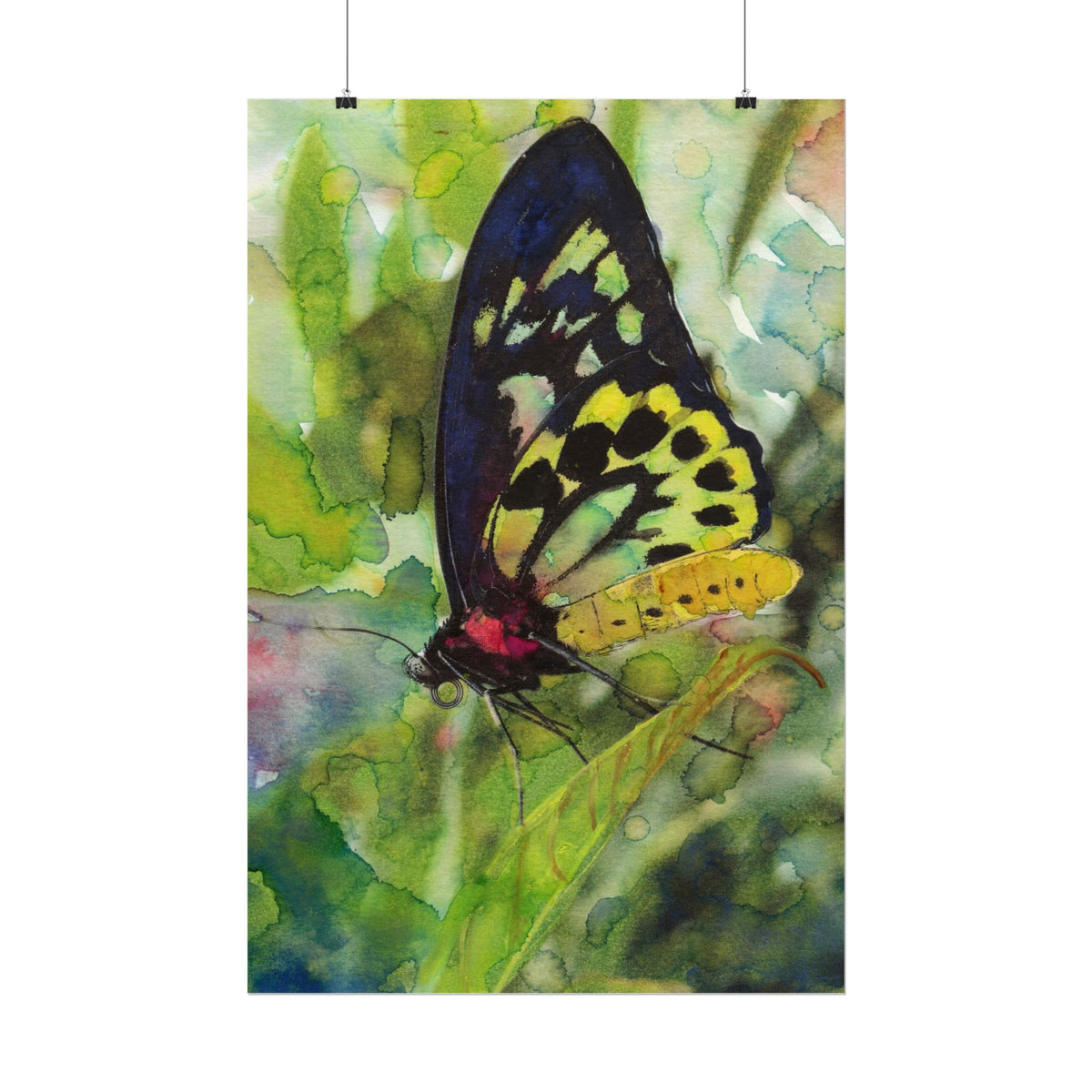 Butterfly Watercolor Wall Art, Colorful Butterfly Poster, Botanical Nature Art Print, Green Garden Wall Decor, Cottagecore Artwork