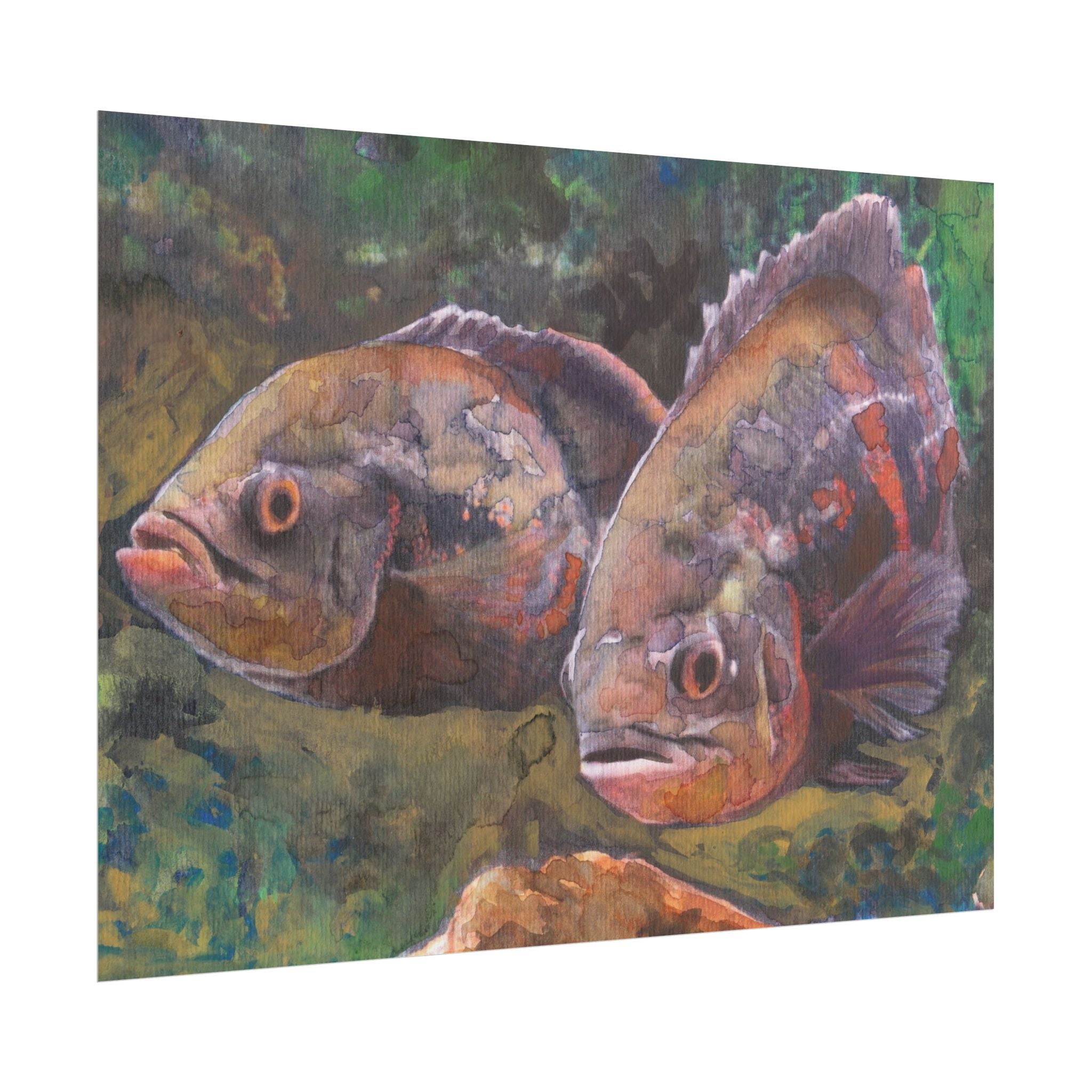 Oscar Fish Wall Art, Purple Oscar Fish Watercolor Poster, Two Fish Art Print, Aquarium Wall Decor, Tropical Fish Artwork
