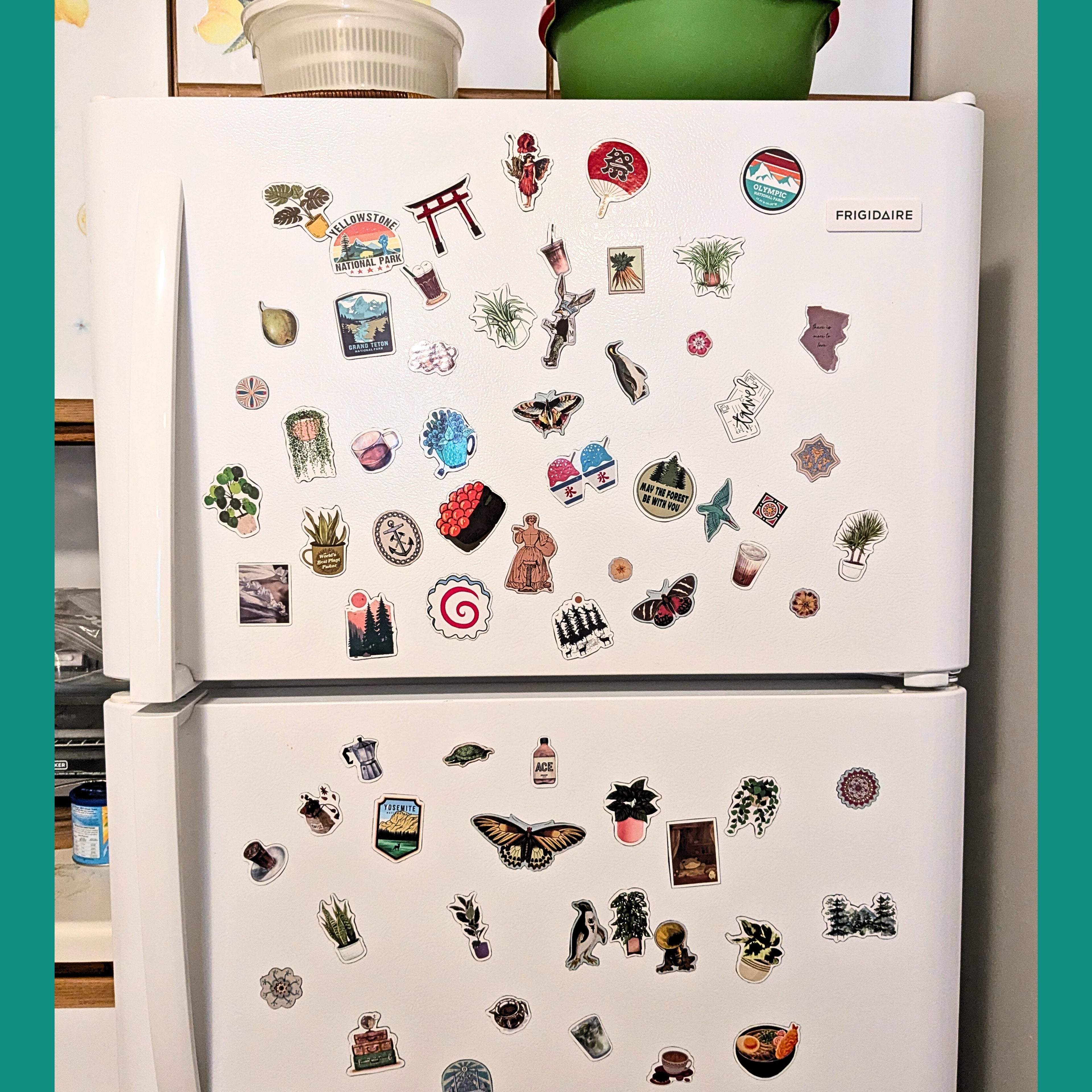 Nature Themed Fridge Magnets Kitchen Decor Flowers Magnets Snails, Birds image 1