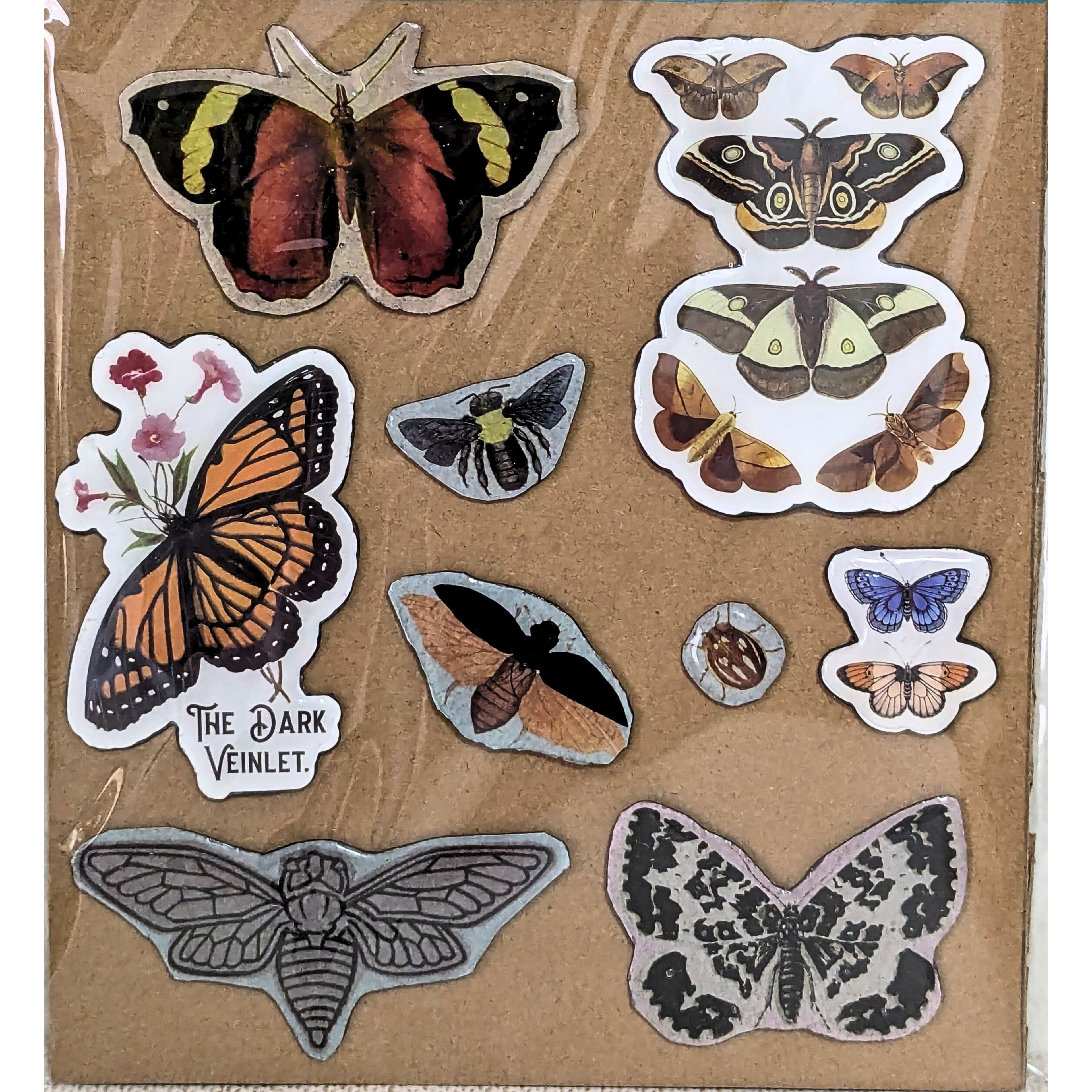 Nature Themed Fridge Magnets Kitchen Decor Butterfly Magnets image 2