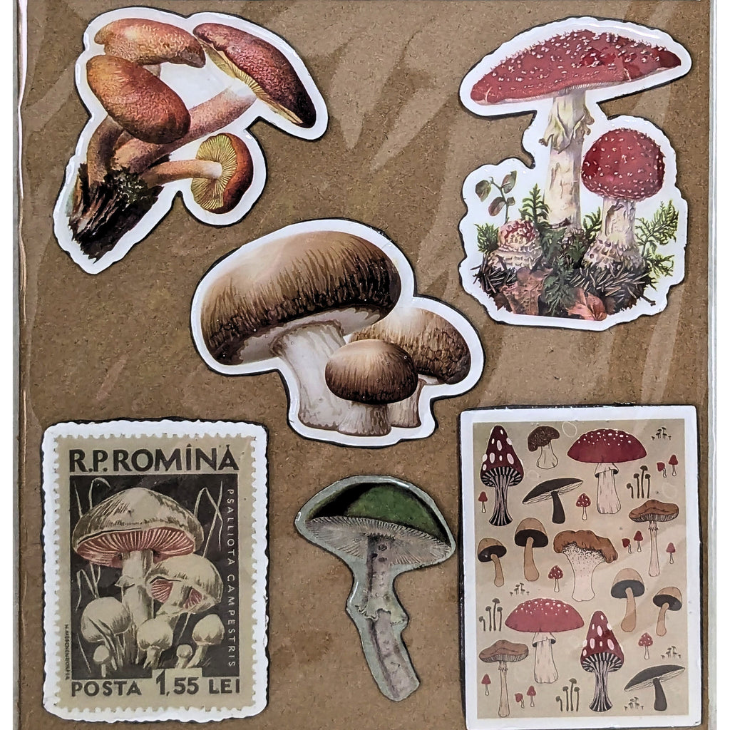 Nature Mushroom Fridge Magnets – Woodland Botanical Kitchen Decor image 1