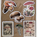 Nature Mushroom Fridge Magnets – Woodland Botanical Kitchen Decor image 1