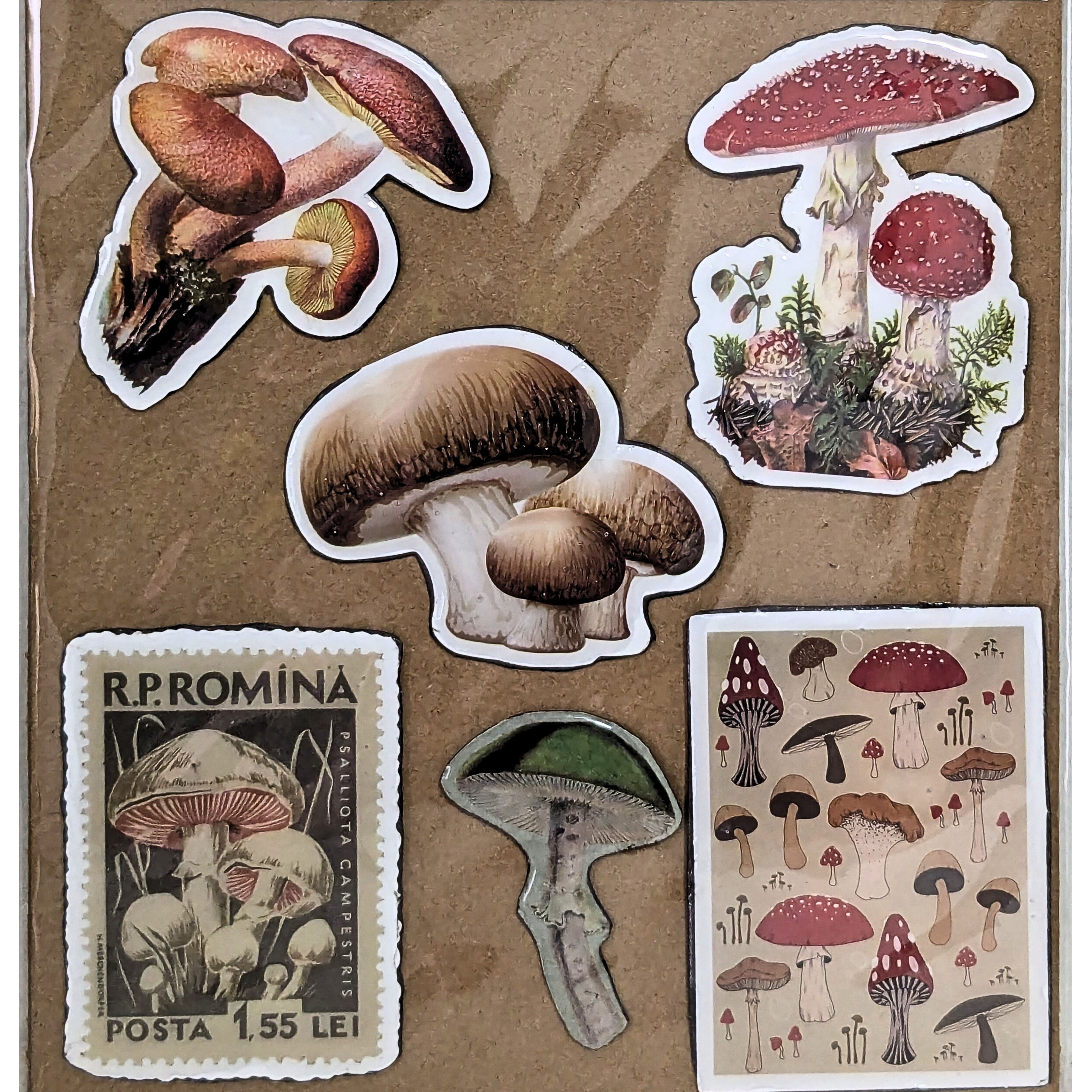 Nature Mushroom Fridge Magnets – Woodland Botanical Kitchen Decor image 1